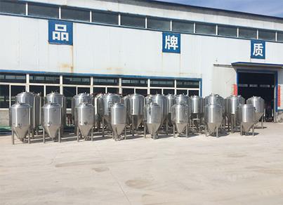 beer fermentation plant